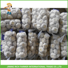 Fresh Good Farmer Garlic For Wholesale 5.0cm